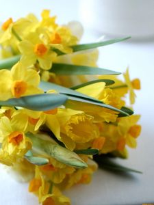 Preview wallpaper daffodils, flowers, bouquet, spring