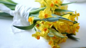 Preview wallpaper daffodils, flowers, bouquet, spring