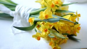 Preview wallpaper daffodils, flowers, bouquet, spring