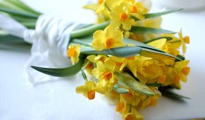 Preview wallpaper daffodils, flowers, bouquet, spring