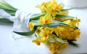 Preview wallpaper daffodils, flowers, bouquet, spring