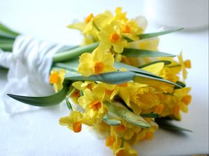 Preview wallpaper daffodils, flowers, bouquet, spring