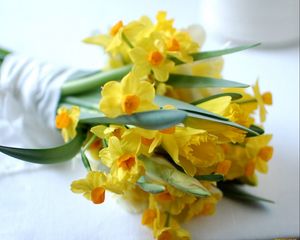 Preview wallpaper daffodils, flowers, bouquet, spring