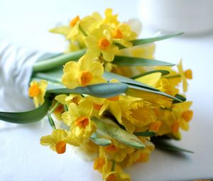 Preview wallpaper daffodils, flowers, bouquet, spring