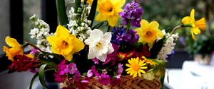 Preview wallpaper daffodils, flowers, different, composition, basket
