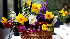 Preview wallpaper daffodils, flowers, different, composition, basket