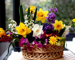 Preview wallpaper daffodils, flowers, different, composition, basket