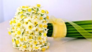 Preview wallpaper daffodils, flowers, flower, ribbon, bow