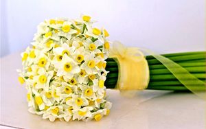 Preview wallpaper daffodils, flowers, flower, ribbon, bow