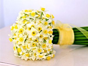 Preview wallpaper daffodils, flowers, flower, ribbon, bow