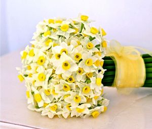 Preview wallpaper daffodils, flowers, flower, ribbon, bow