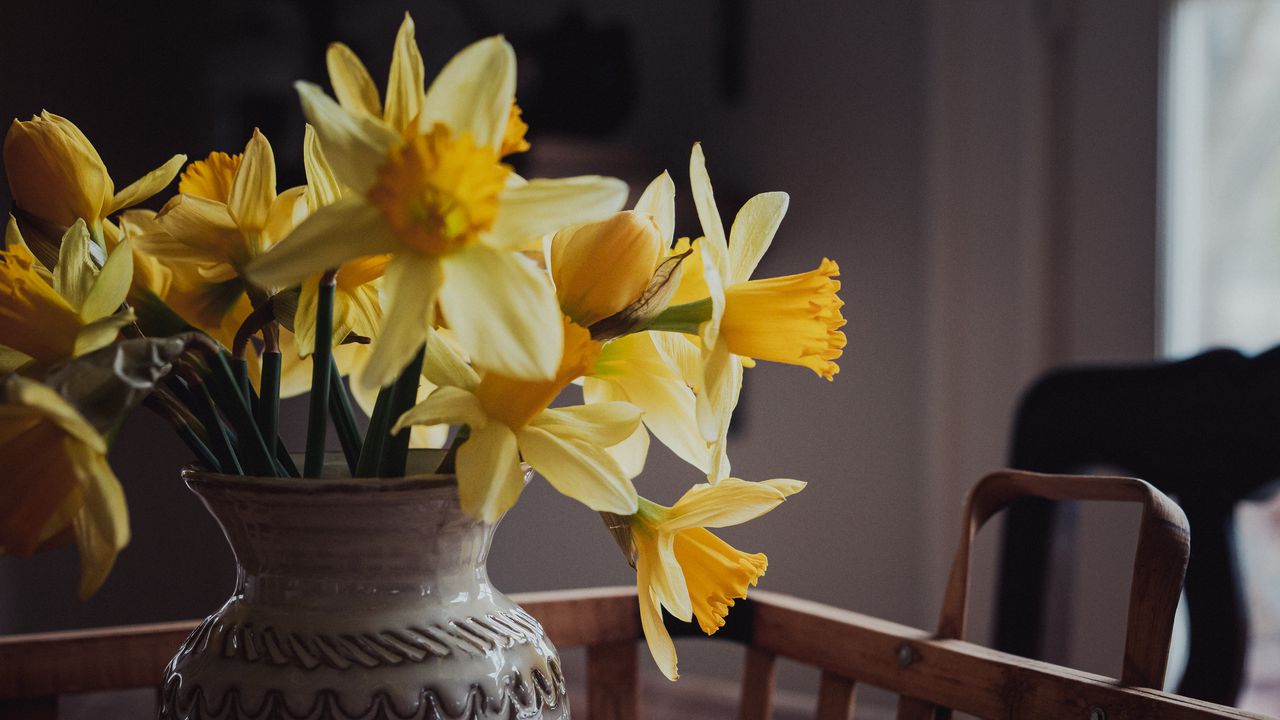 Wallpaper daffodils, flowers, vase, bouquet