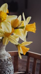 Preview wallpaper daffodils, flowers, vase, bouquet