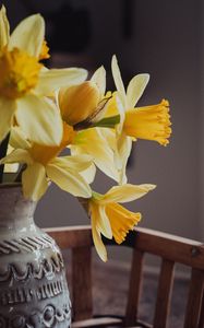 Preview wallpaper daffodils, flowers, vase, bouquet