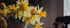 Preview wallpaper daffodils, flowers, vase, bouquet