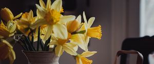 Preview wallpaper daffodils, flowers, vase, bouquet