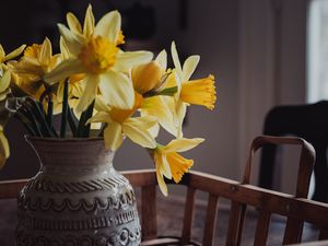 Preview wallpaper daffodils, flowers, vase, bouquet