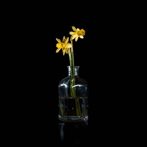 Preview wallpaper daffodils, flowers, vase, glass