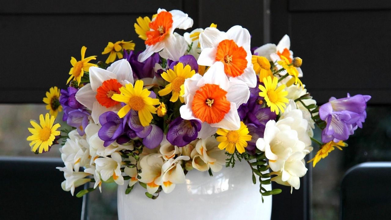 Wallpaper daffodils, freesia, flowers, vase, flower, song