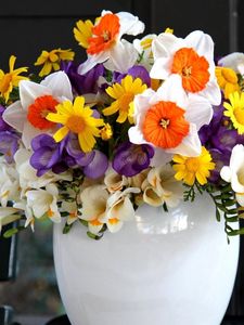 Preview wallpaper daffodils, freesia, flowers, vase, flower, song