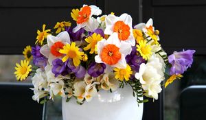 Preview wallpaper daffodils, freesia, flowers, vase, flower, song