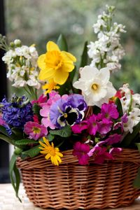 Preview wallpaper daffodils, hyacinths, pansies, flowers, composition, basket