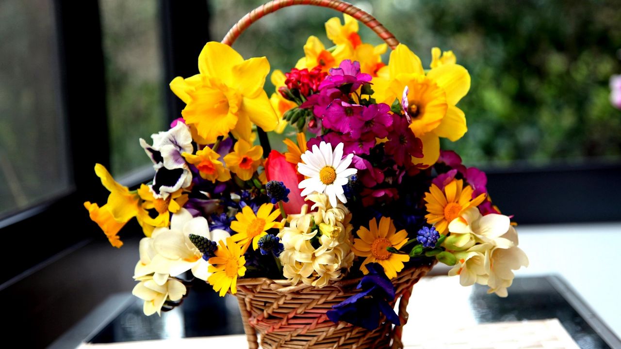 Wallpaper daffodils, hydrangea, muscari, freesia, viola, bunch, basket, flowers
