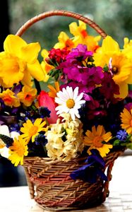 Preview wallpaper daffodils, hydrangea, muscari, freesia, viola, bunch, basket, flowers