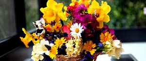 Preview wallpaper daffodils, hydrangea, muscari, freesia, viola, bunch, basket, flowers