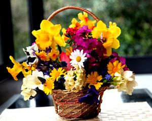 Preview wallpaper daffodils, hydrangea, muscari, freesia, viola, bunch, basket, flowers