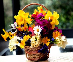 Preview wallpaper daffodils, hydrangea, muscari, freesia, viola, bunch, basket, flowers