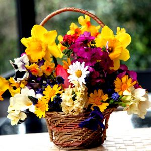 Preview wallpaper daffodils, hydrangea, muscari, freesia, viola, bunch, basket, flowers