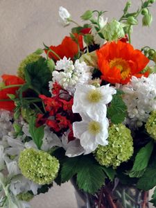 Preview wallpaper daffodils, hydrangea, poppies, lilacs, bouquet, composition, vase