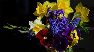 Preview wallpaper daffodils, muscari, hyacinths, pansies, herbs, flower, song