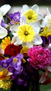 Preview wallpaper daffodils, roses, freesia, bouquet, flowers