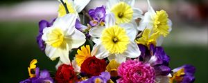 Preview wallpaper daffodils, roses, freesia, bouquet, flowers