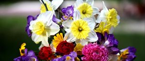 Preview wallpaper daffodils, roses, freesia, bouquet, flowers