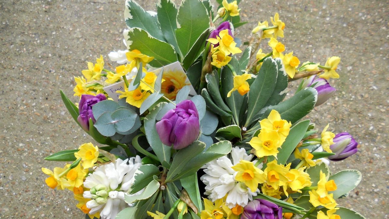 Wallpaper daffodils, tulips, bouquet, leaves, chit