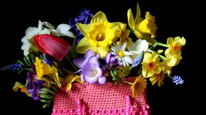 Preview wallpaper daffodils, tulips, muscari, chamomile, flowers, different, spring, bag