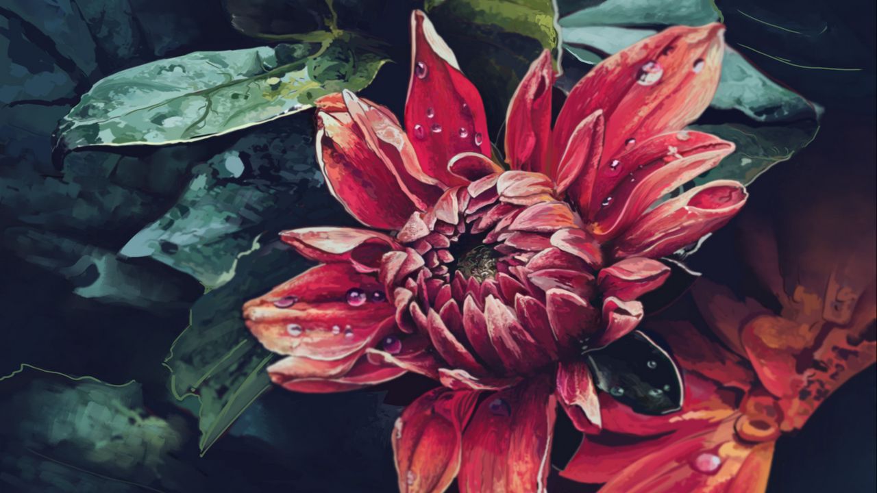 Wallpaper dahlia, flower, drops, art