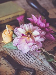 Preview wallpaper dahlia, flower, petals, bouquet, aesthetics