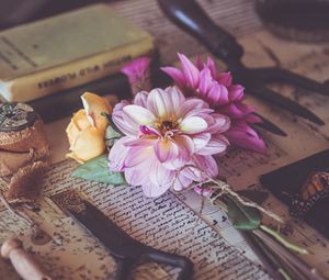 Preview wallpaper dahlia, flower, petals, bouquet, aesthetics