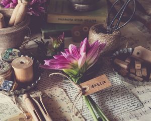 Preview wallpaper dahlia, flower, thread, aesthetics