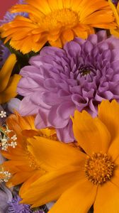 Preview wallpaper dahlias, daisies, flowers, bouquet, bright, close-up