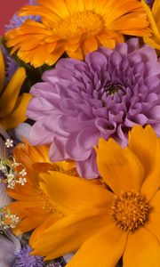 Preview wallpaper dahlias, daisies, flowers, bouquet, bright, close-up