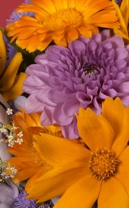 Preview wallpaper dahlias, daisies, flowers, bouquet, bright, close-up