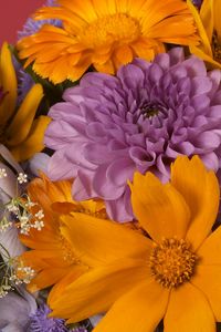 Preview wallpaper dahlias, daisies, flowers, bouquet, bright, close-up