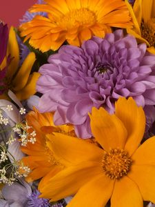 Preview wallpaper dahlias, daisies, flowers, bouquet, bright, close-up