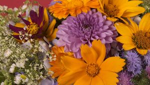 Preview wallpaper dahlias, daisies, flowers, bouquet, bright, close-up