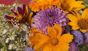 Preview wallpaper dahlias, daisies, flowers, bouquet, bright, close-up